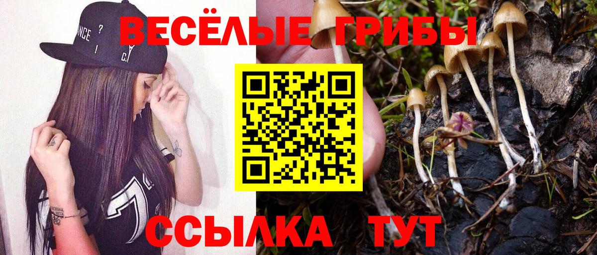 Псилоцибиновые грибы мухоморы Лосино-Петровский