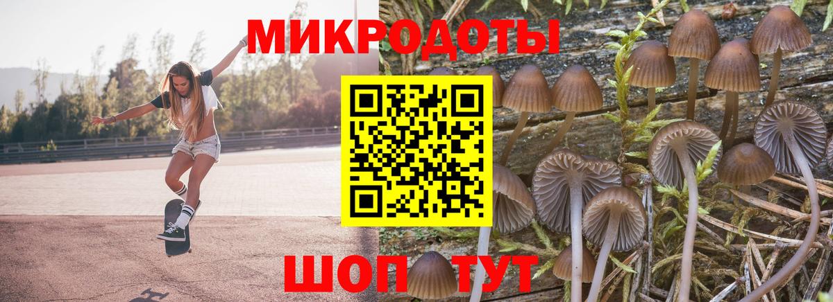 Галлюциногенные грибы Cubensis  Галлюциногенные грибы MAGIC MUSHROOMS  Лосино-Петровский  Вход с VPN 